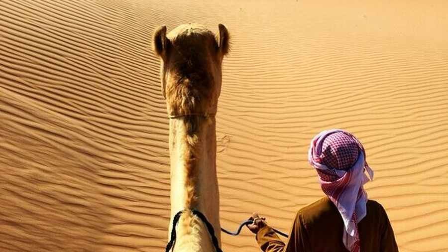 desert experiencce on camel landscape