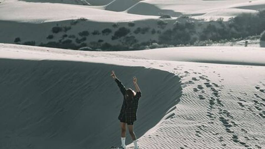 sand boarding dubai safari landscape